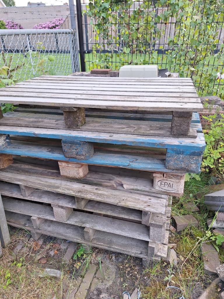 Pallets hout, Doe-het-zelf en Verbouw, Ophalen, Overige houtsoorten, Minder dan 200 cm, Pallet
