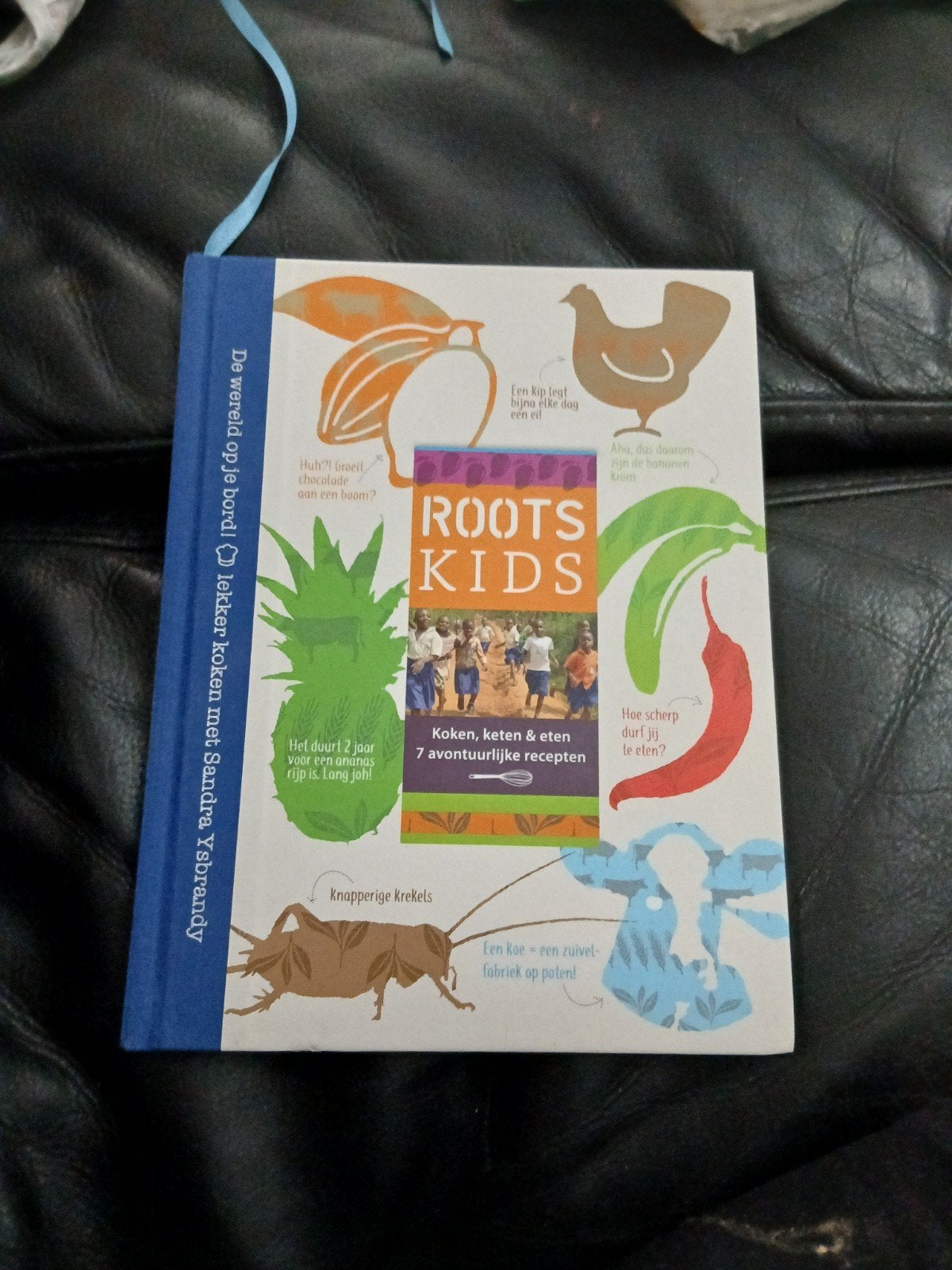 Roots Kids: Koken, eten & 7 avontuurlijke recepten, Overige typen, Sandra Ysbrandy, Ophalen of Verzenden, Zo goed als nieuw