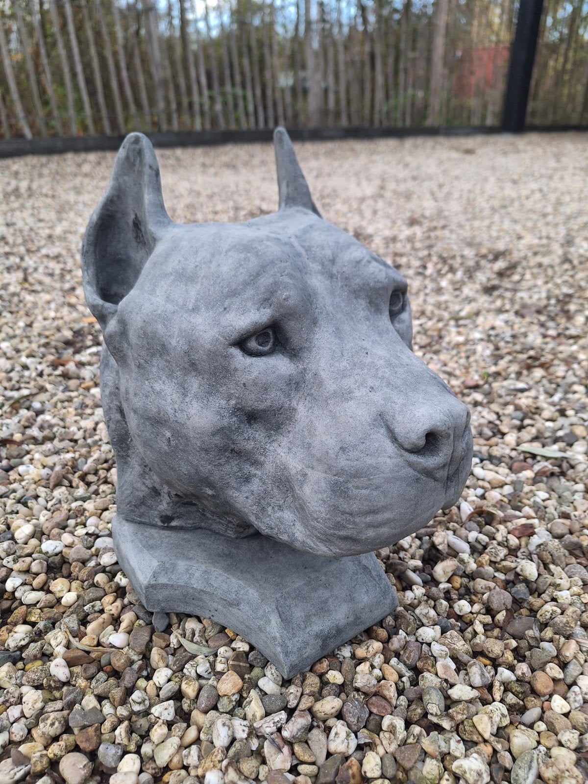 Betonnen Stafford hondenkop - Hoogte 35 cm, Ophalen, Nieuw, Beton, Dierenbeeld