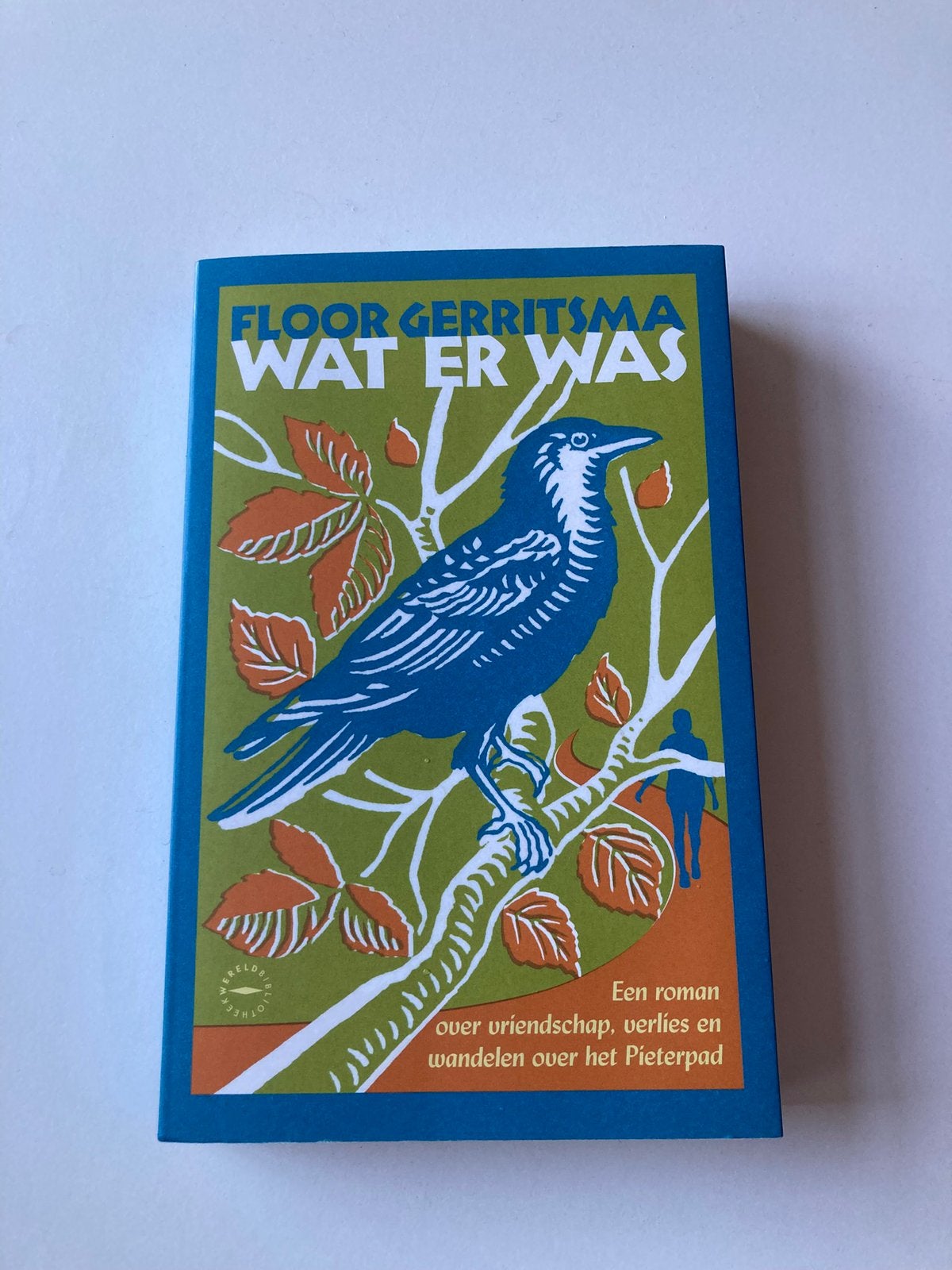 Wat er was - Floor Gerritsma, Boeken, Ophalen of Verzenden, Zo goed als nieuw