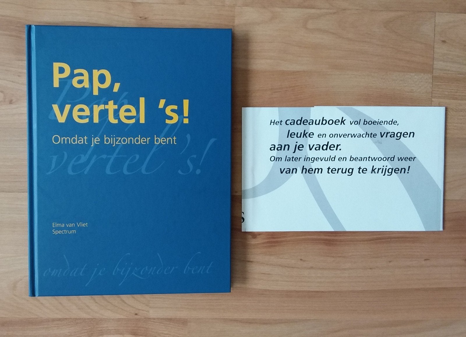 Elma van Vliet - Pap, vertel 's!, Boeken, Eddy van Vliet, Ophalen of Verzenden, Ontwikkelingspsychologie, Zo goed als nieuw