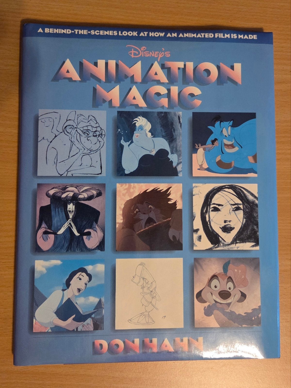 Disney's Animation Magic - Stap-voor-stap animatiegids, Ophalen of Verzenden, Zo goed als nieuw