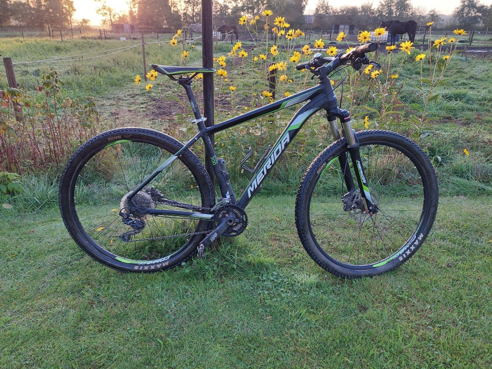 Merida Big Nine 300 mountainbike met 30 versnellingen., 49 tot 53 cm, Ophalen, Schijfrem, Merida