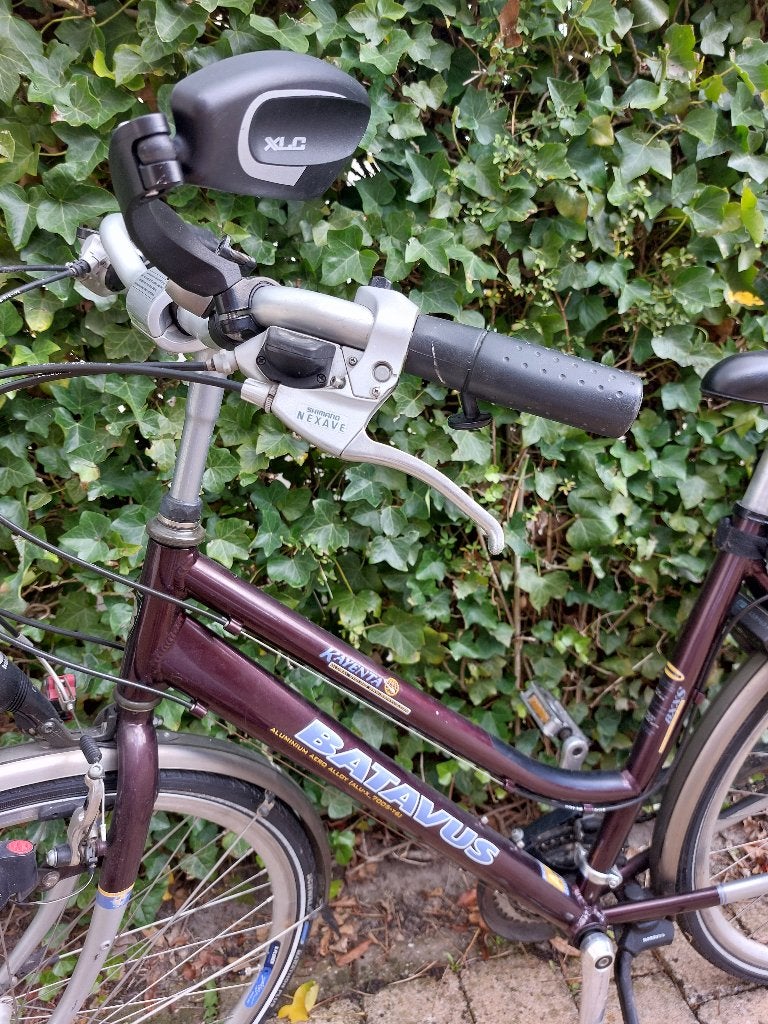 Damesfiets batavus, donkerrood, beige/goud metallic, Ophalen, Velgrem, (Extra) lage instap, Batavus