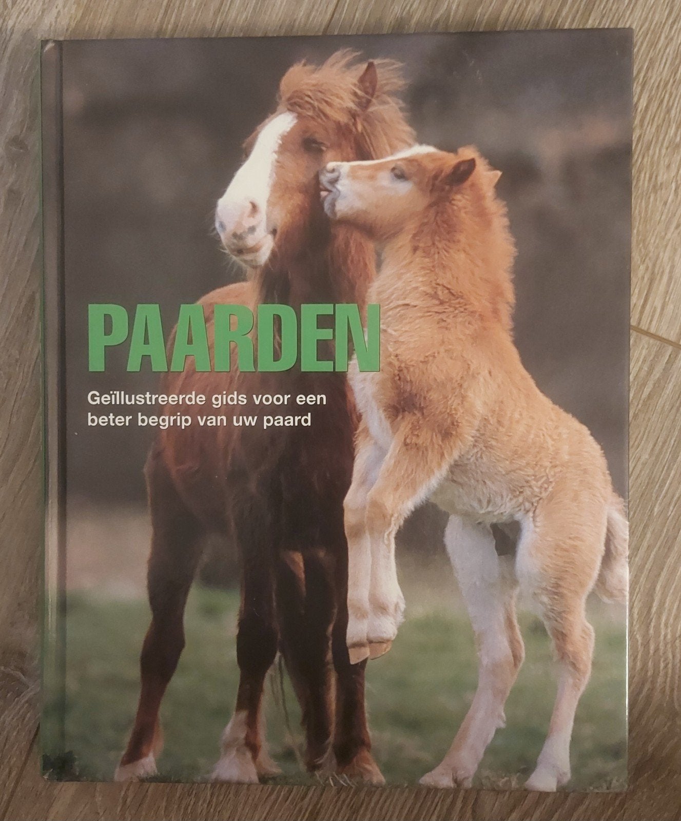 Boek: Paarden - Geïllustreerde gids voor een beter begrip, Ophalen, Paarden of Pony's