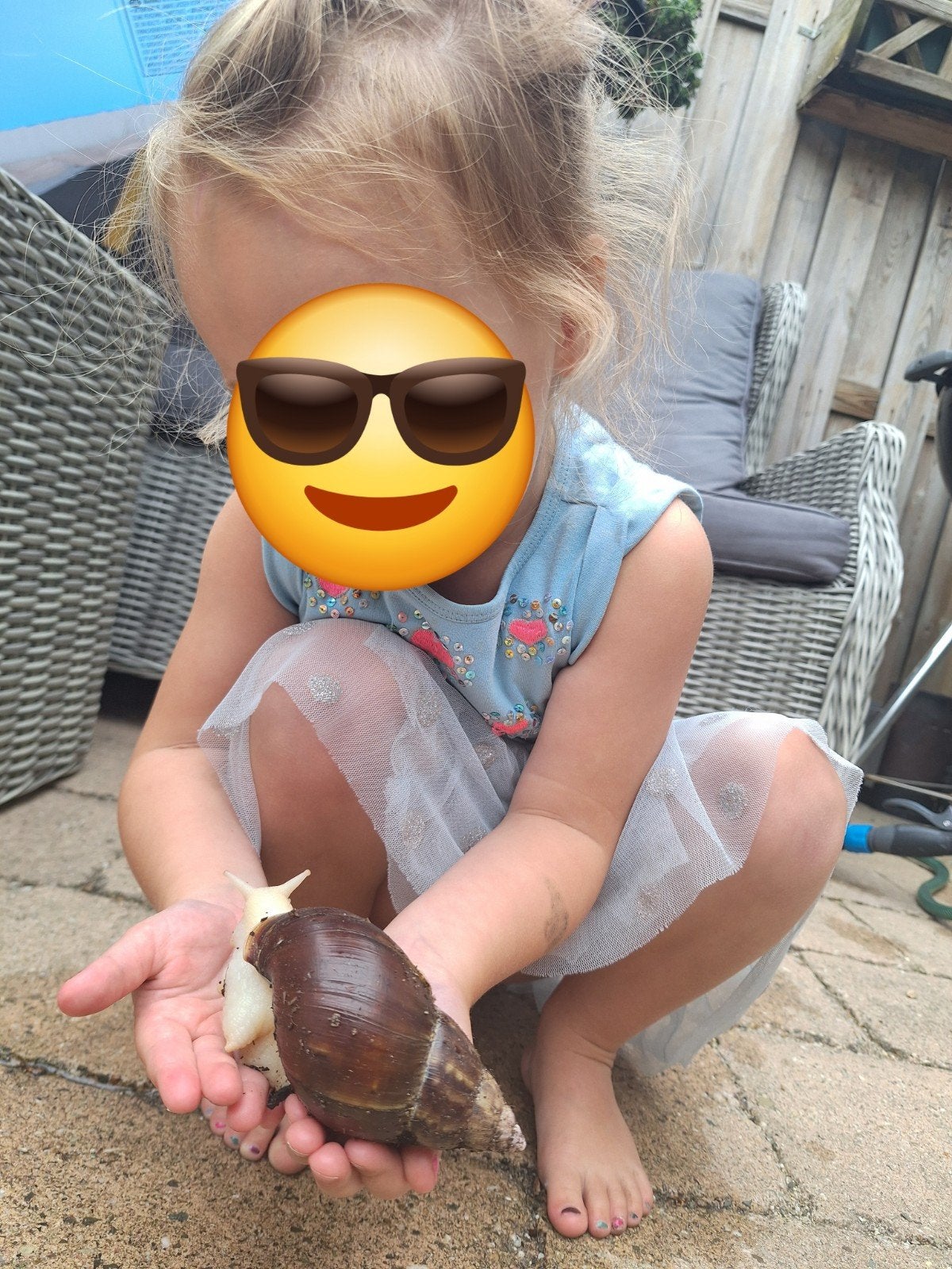 Afrikaanse Reuzenslakken, 0 tot 2 jaar