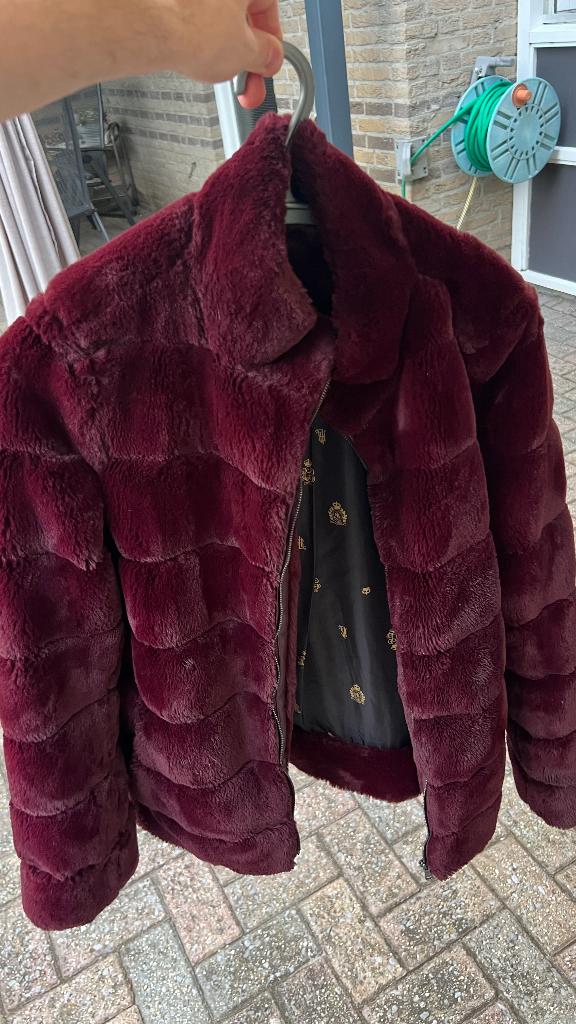 Ralph Lauren bordeaux/paarse jas XS - nieuw, nooit gedragen, Kleding | Dames, Jassen | Winter, Paars, Nieuw, Ophalen of Verzenden