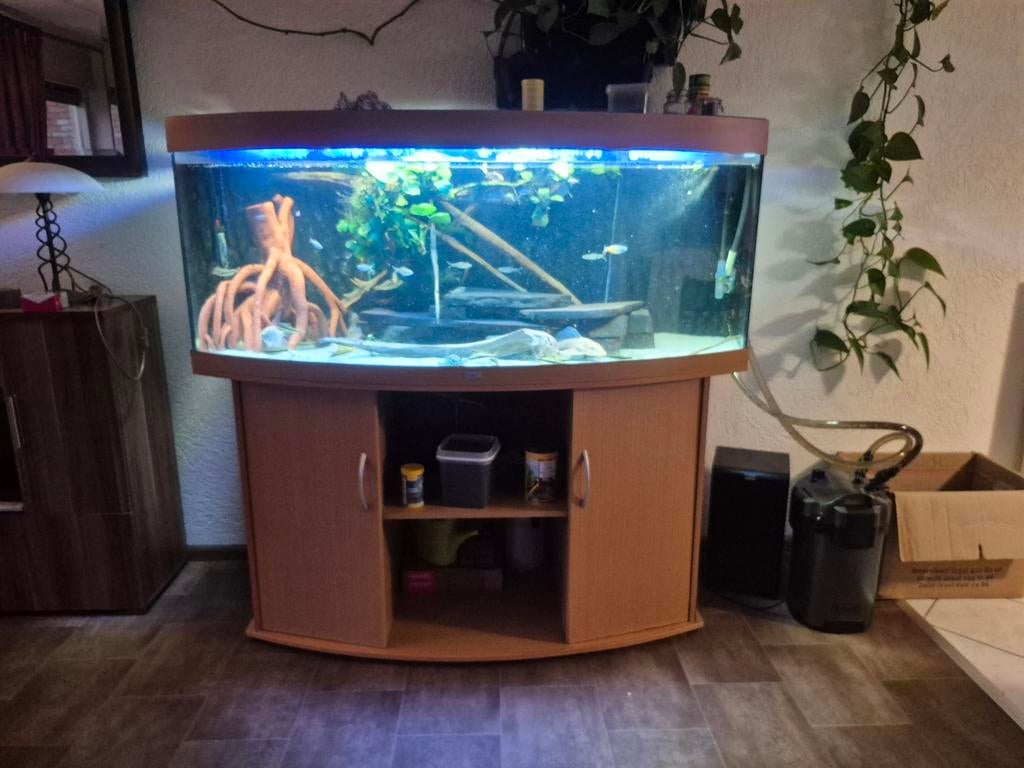 Aquarium juwel vision 450, Ophalen of Verzenden, Gebruikt, Leeg aquarium