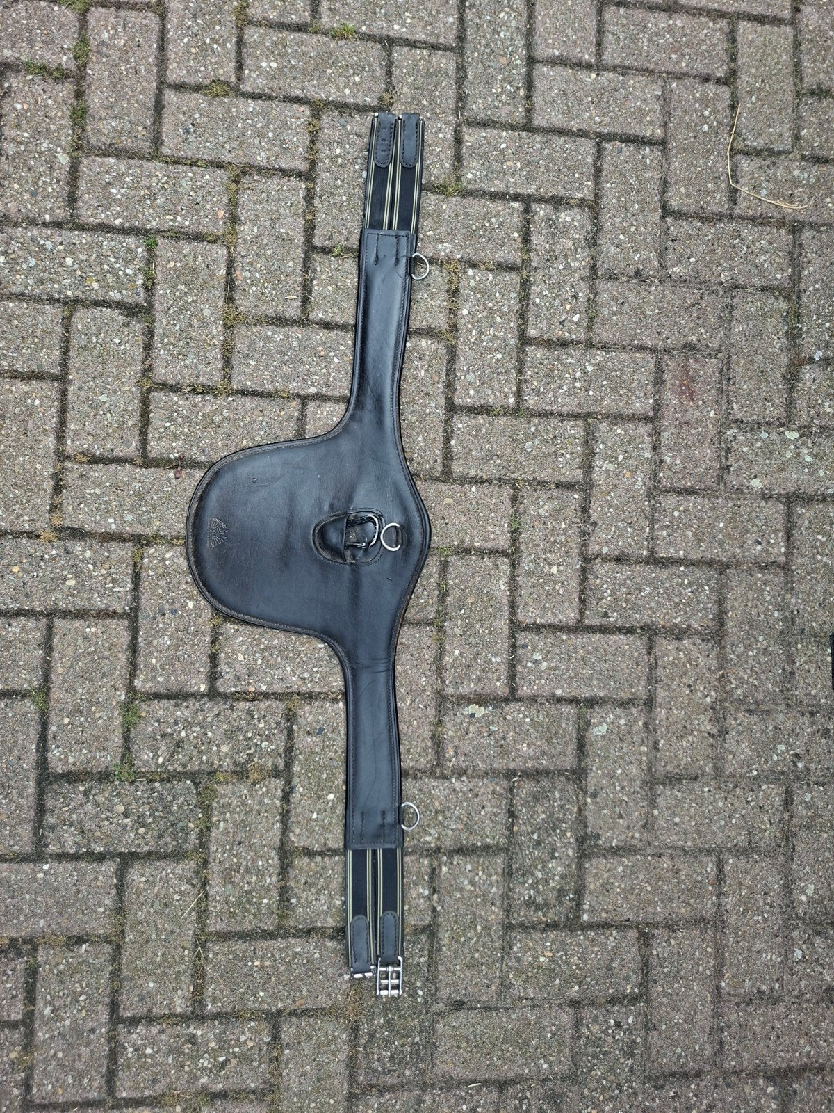 Nette springsingel, Dieren en Toebehoren, Ophalen, Zo goed als nieuw, Zwart, Singel