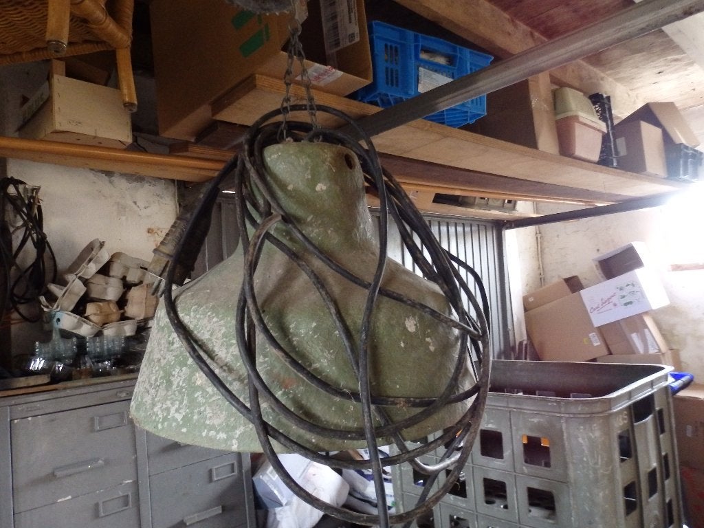 Biggen lamp, Dieren en Toebehoren
