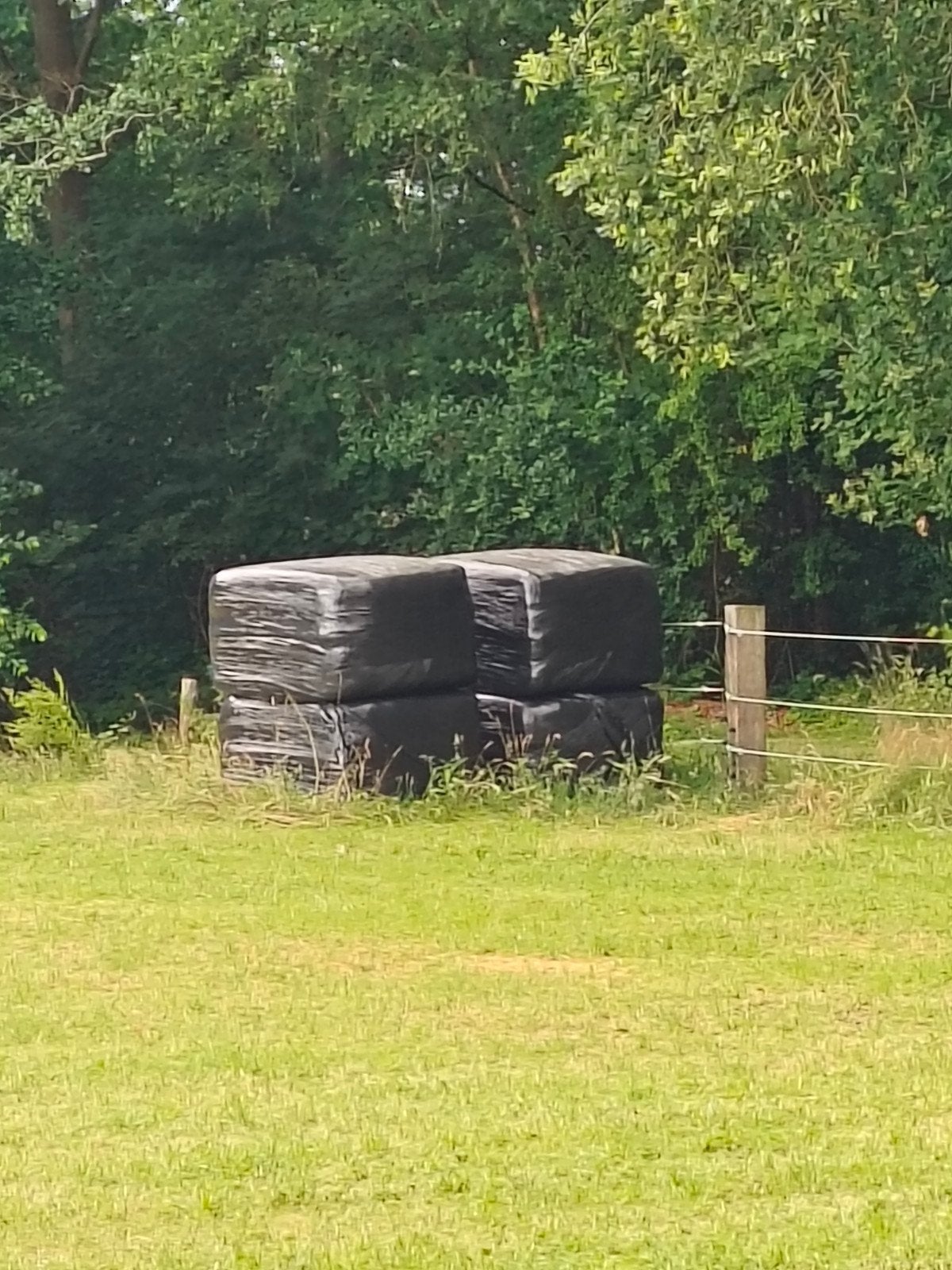 Paarden hooi. Grote balen. 2e snede 2025, Dieren en Toebehoren