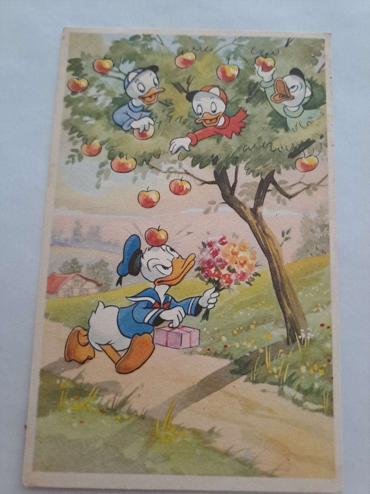 Donald Duck, Ophalen of Verzenden, Voor 1920, Gelderland