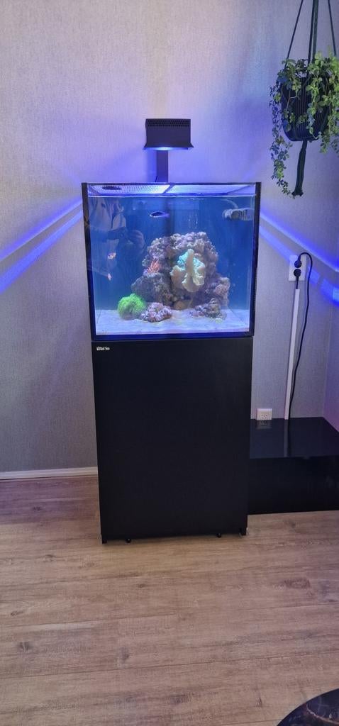 Red sea max 200 g3 zoutwater aquarium., Ophalen, Red Sea, Gevuld zeewateraquarium, Zo goed als nieuw