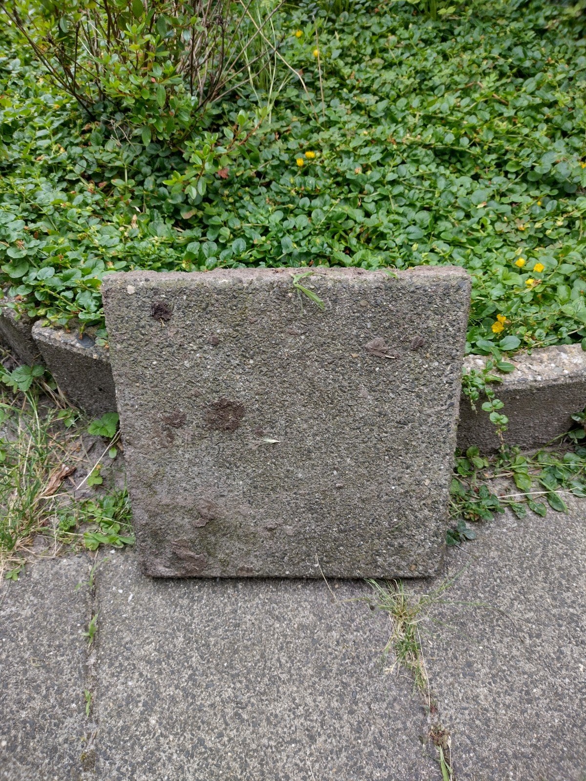 GRATIS! 12m2 30x30 tuintegels, Ophalen, Overige materialen, Gebruikt, 20 tot 40 cm