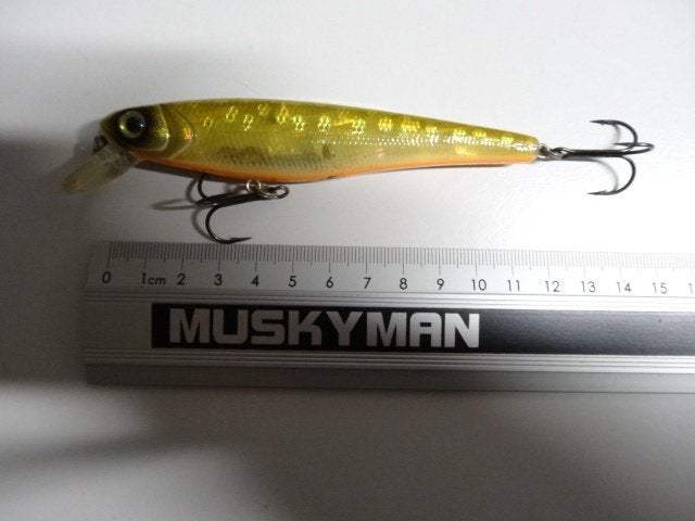 Kunstaas: Storm Wildeye Minnow 12 Medium pluggen, Verzenden, Gebruikt, Overige typen