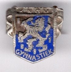 K.N.G.V. gymnastiek email op zilverkl wapen broche ( P_101), Verzamelen, Verzenden, Zo goed als nieuw, Transport, Speldje of Pin