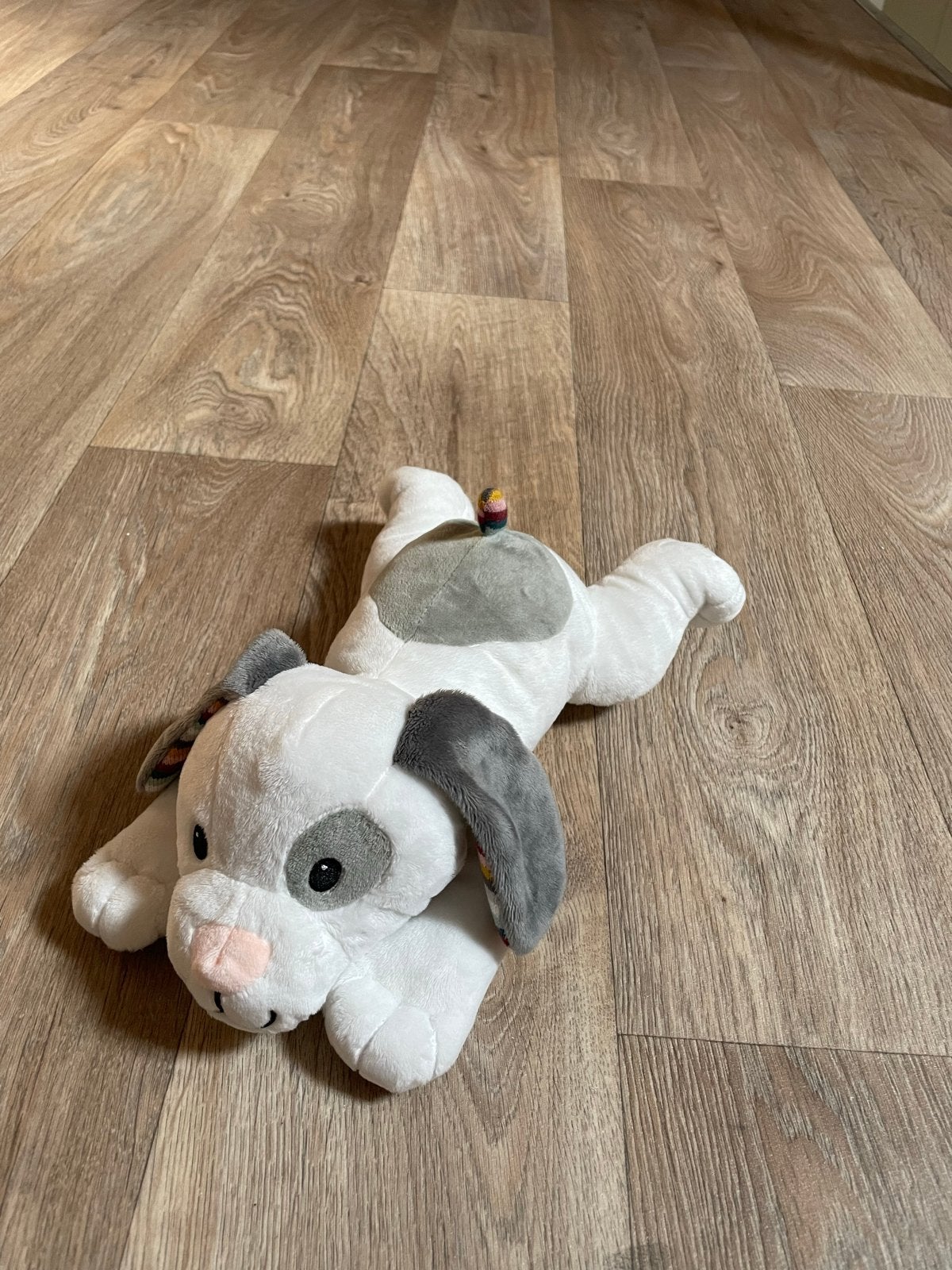 Zazu slaaptrainer hond Dex met geluid en licht, Ophalen, Gebruikt, Overige merken, Met geluid