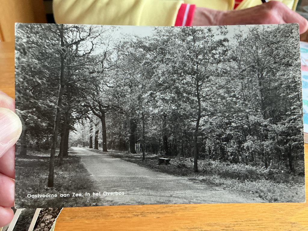 Oostvoorne aan Zee, Verzenden, 1960 tot 1980, Gelopen, Zuid-Holland