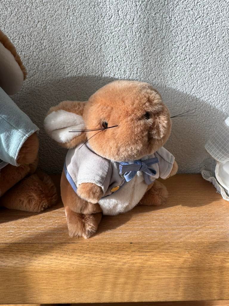 Kleinere peter rabbit beatrix potter Eden, Verzamelen, Ophalen of Verzenden, Zo goed als nieuw