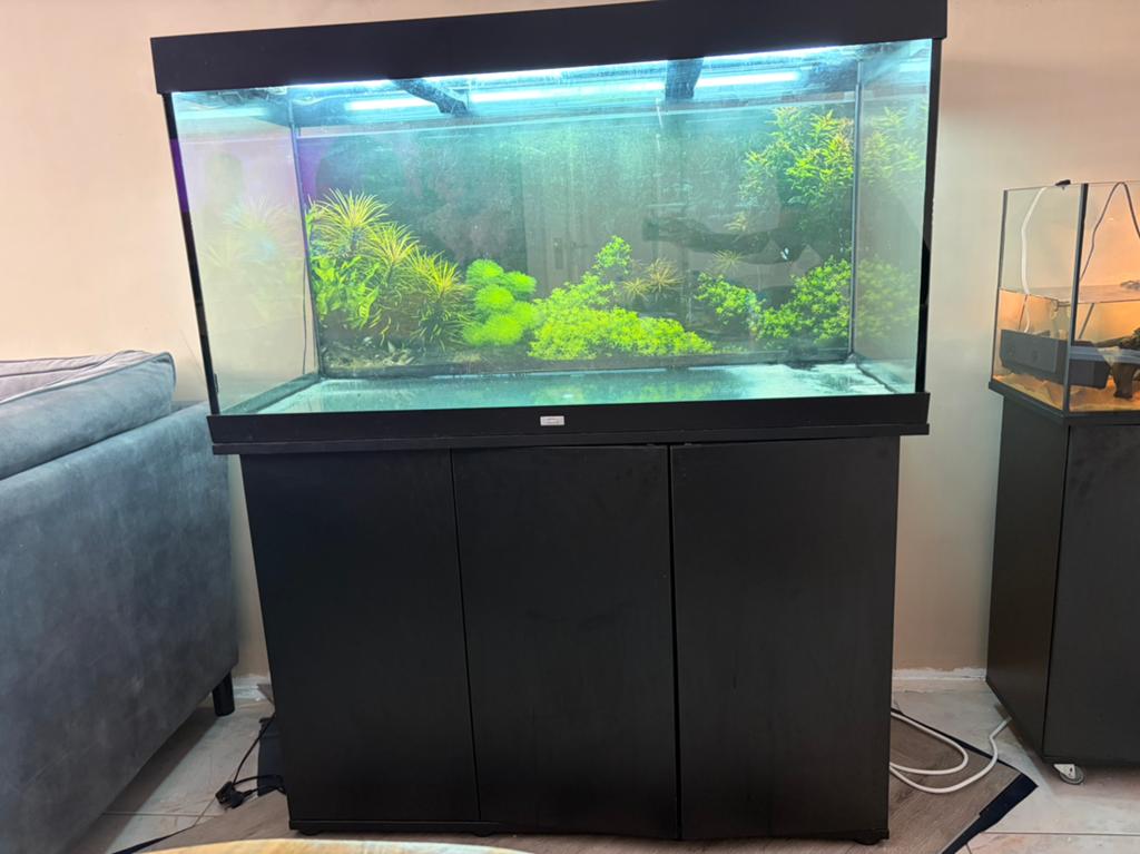 Juwel Rio 350, Dieren en Toebehoren, Ophalen, Gebruikt, Inclusief deksel, Leeg aquarium