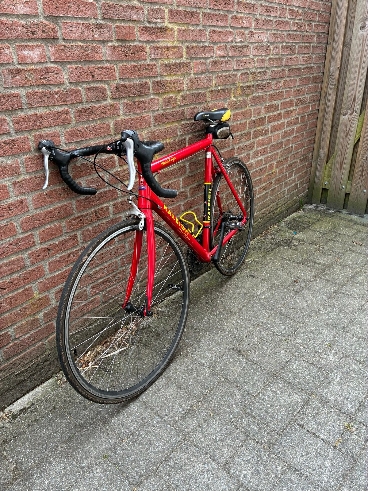 Raleigh Hennie Kuiper racefiets, 28 inch, Gebruikt, Staal, Meer dan 20 versnellingen