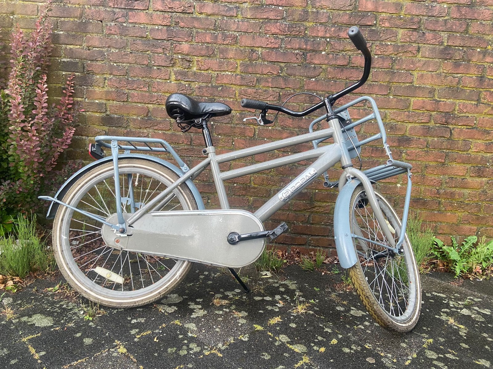 Jongesfiets 22 inch popal te koop, Ophalen, Terugtraprem, 22 inch, Gebruikt