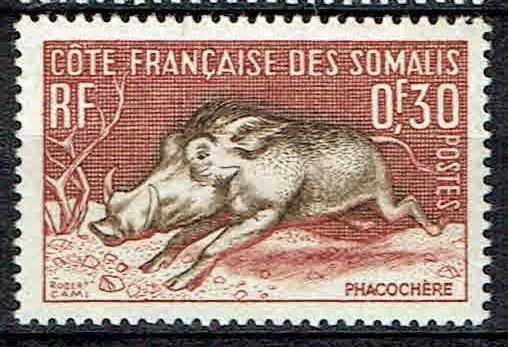 Frankrijk Somalie 1958 Knobbelzwijn, Verzenden, Postfris, Dier of Natuur