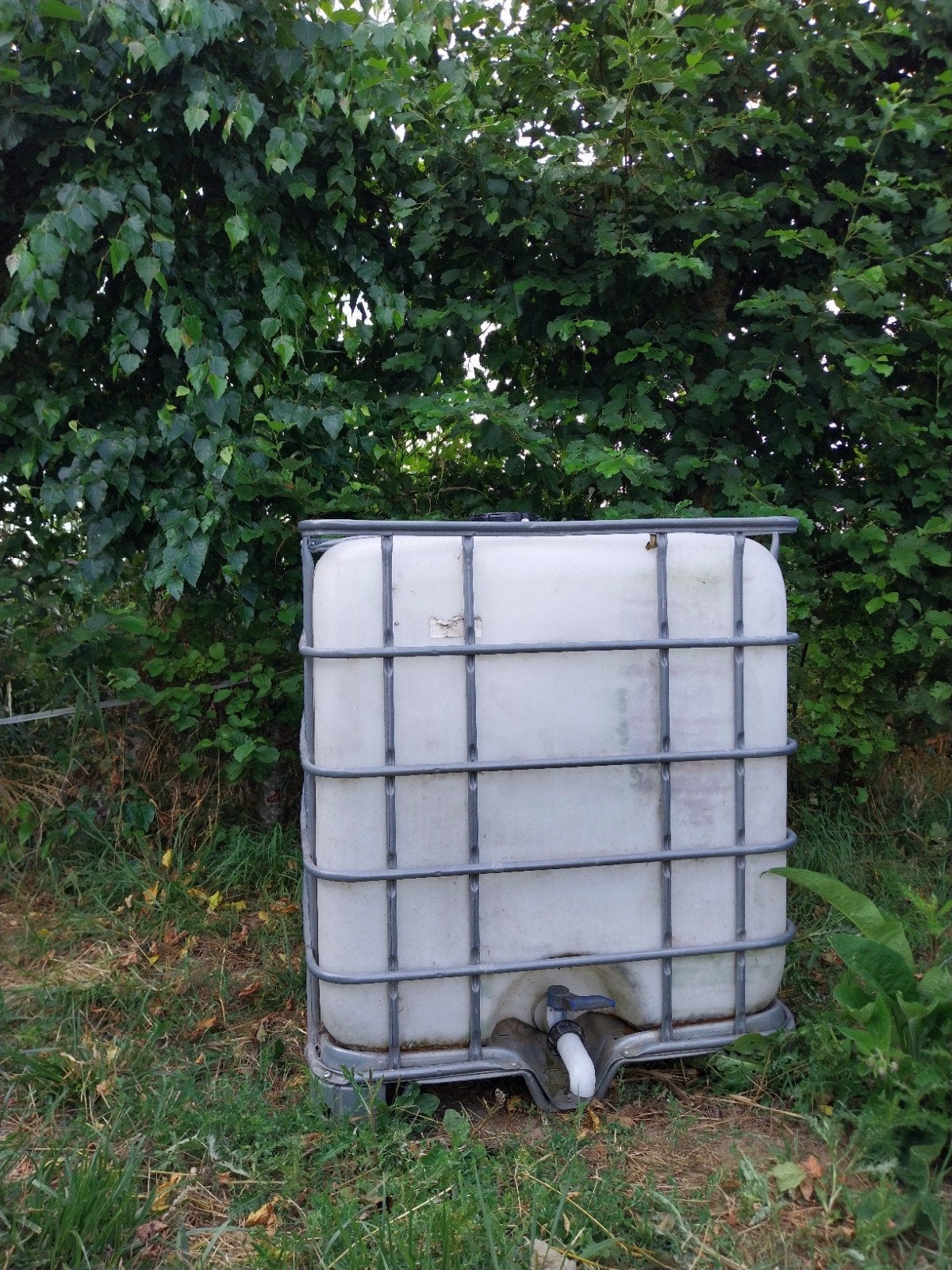 IBC Watertank 1000 liter met kraan, Tuin en Terras, Ophalen, Kunststof, Gebruikt, Met kraantje