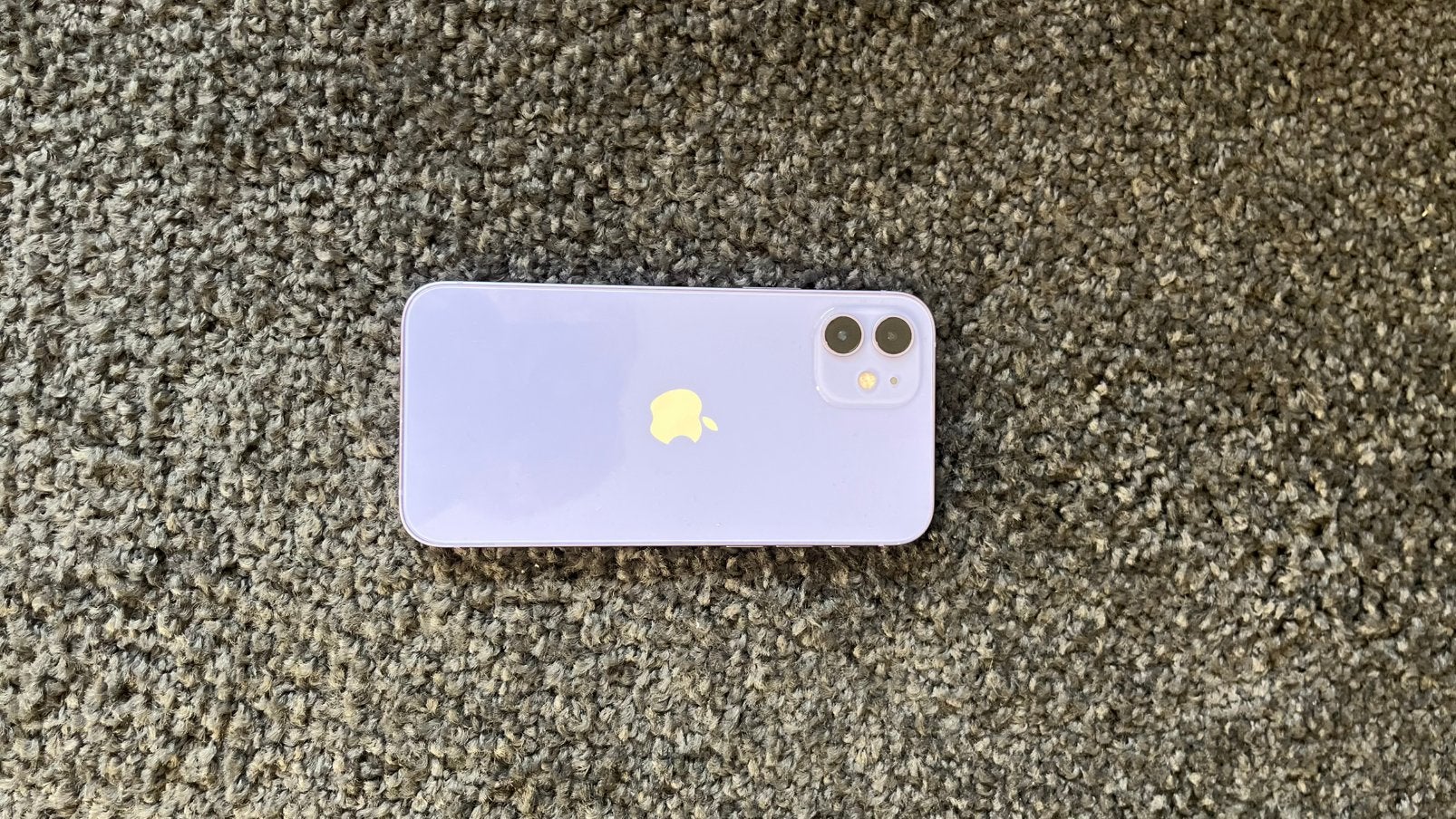 Iphone 12 paars