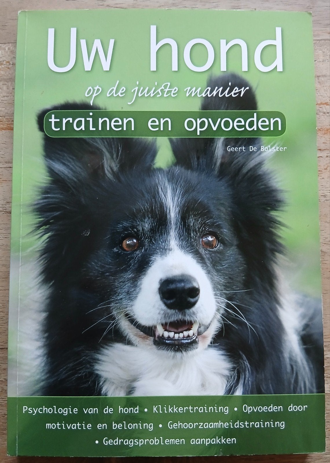 Geert de Bolster, Uw hond op de juiste manier trainen, Ophalen of Verzenden, Zo goed als nieuw