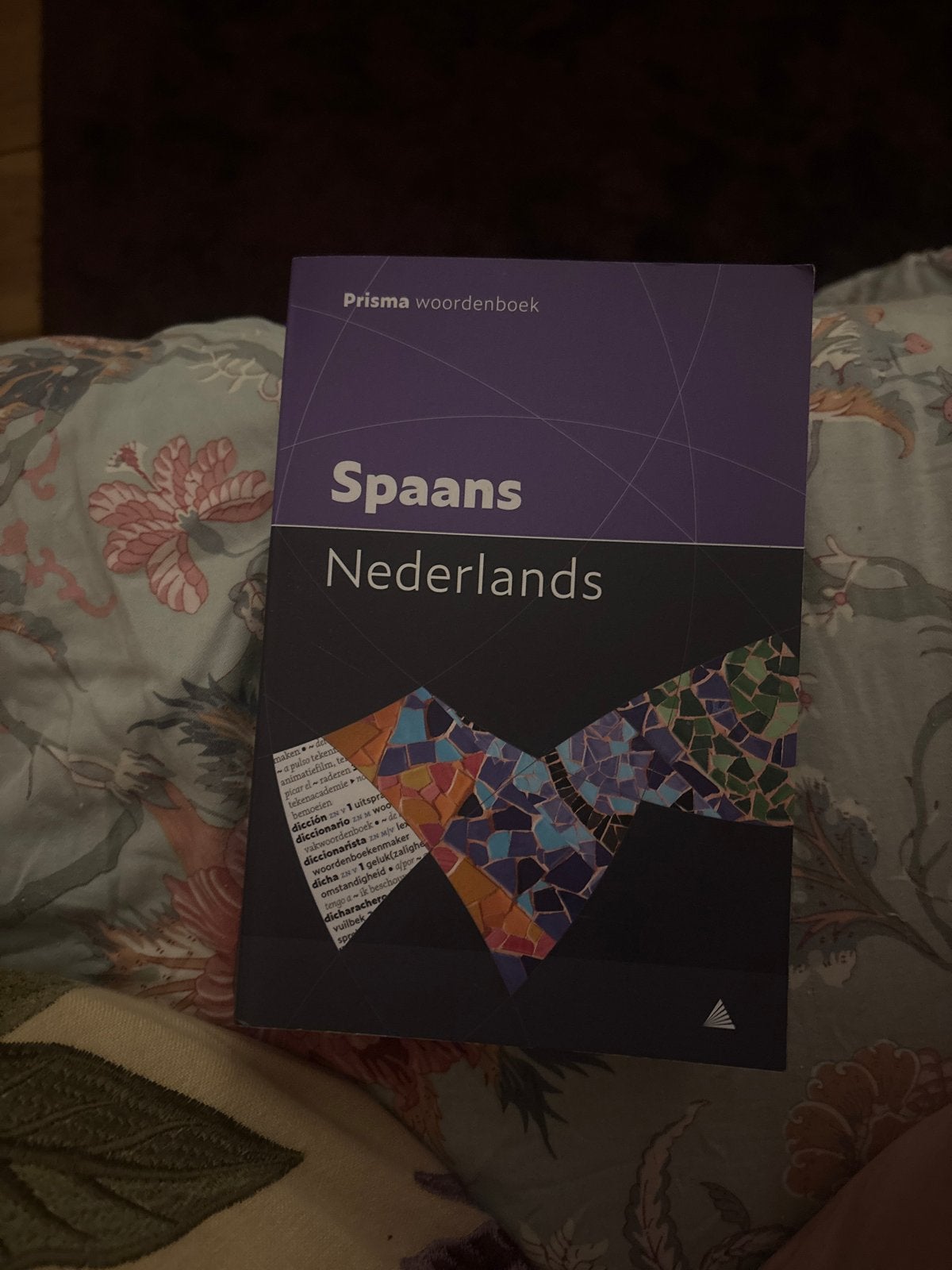 Prisma woordenboek Spaans-Nederlands, Boeken, Ophalen of Verzenden, Zo goed als nieuw, Prisma of Spectrum, Spaans