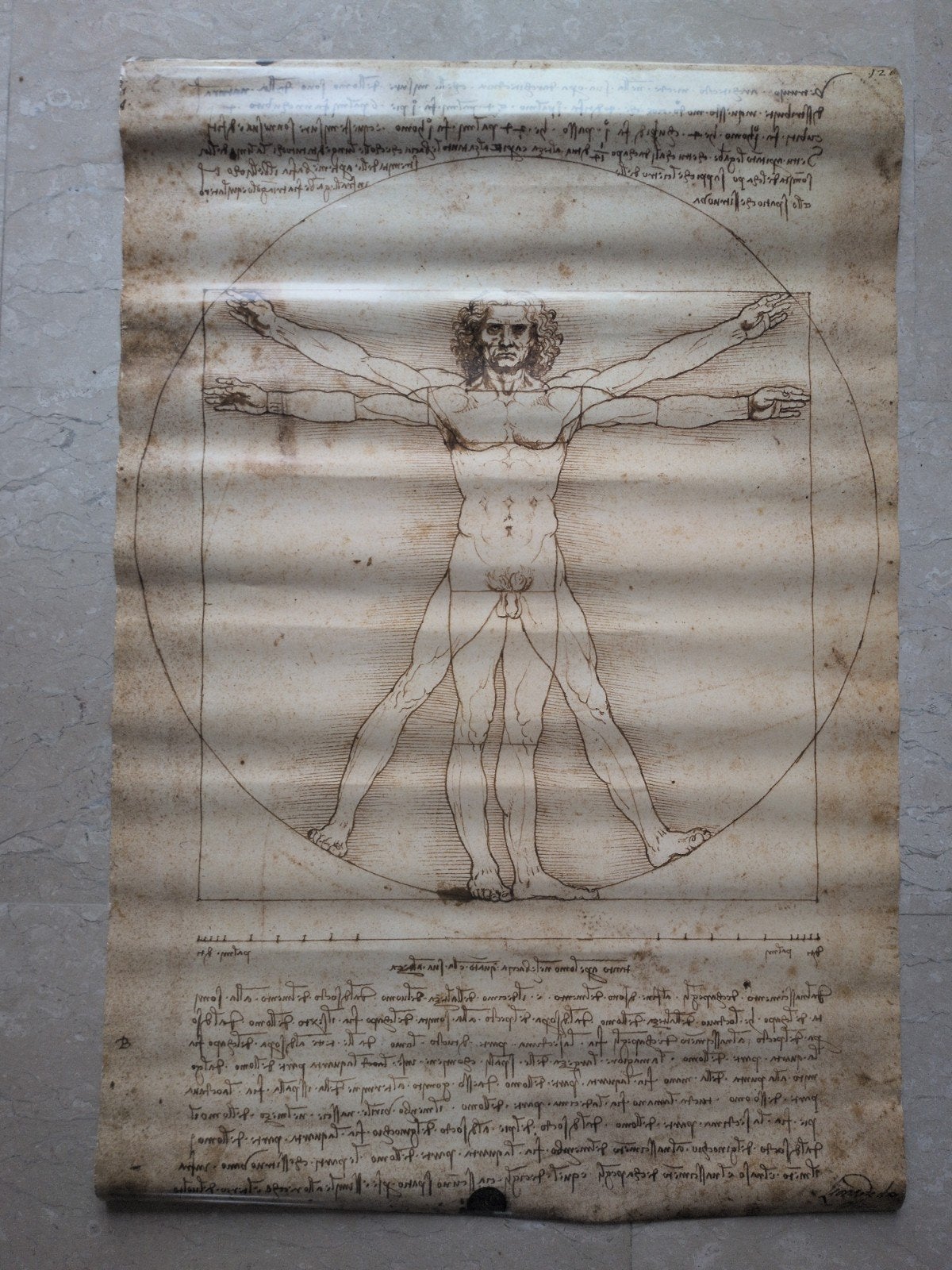 De Vitruviusman - Leonardo da Vinci), Ophalen of Verzenden, Gebruikt, A1 t/m A3, Rechthoekig Staand