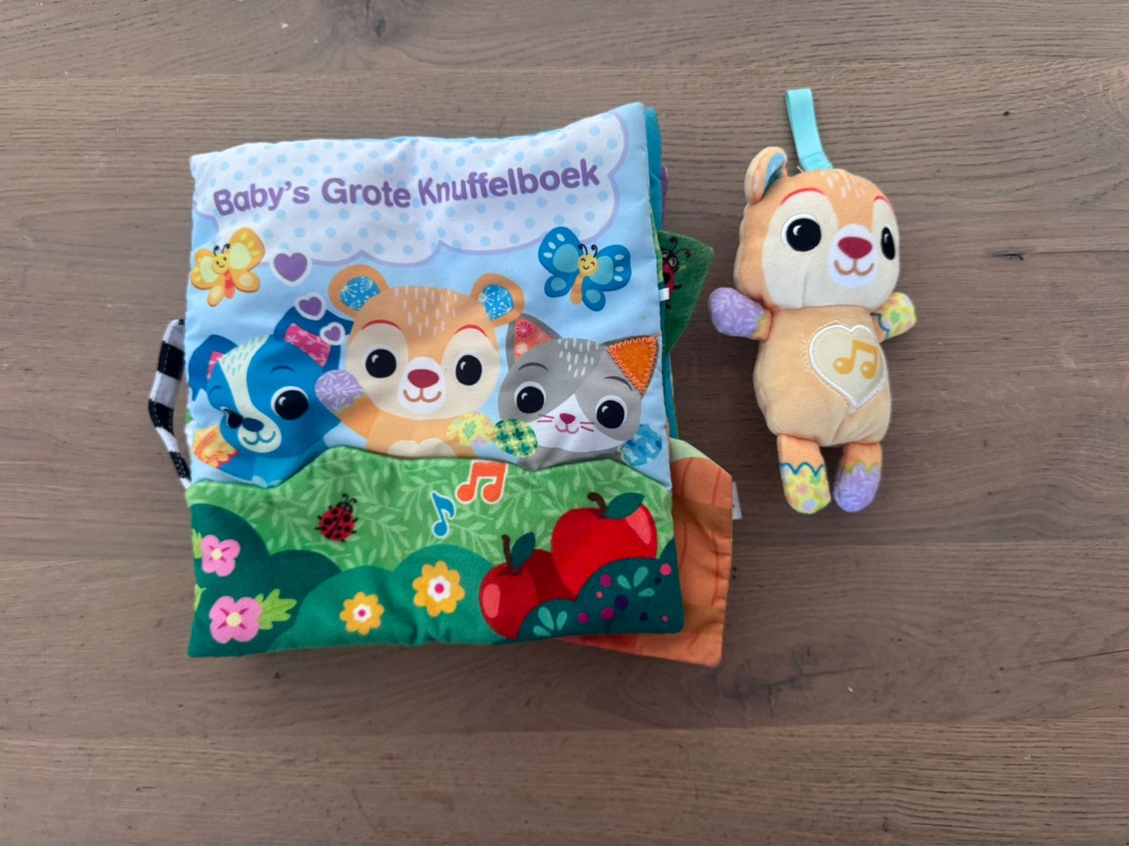 Vtech grote knuffelboek met zingend beertje, Kinderen en Baby's, Speelgoed | Vtech, Ophalen of Verzenden, Zo goed als nieuw