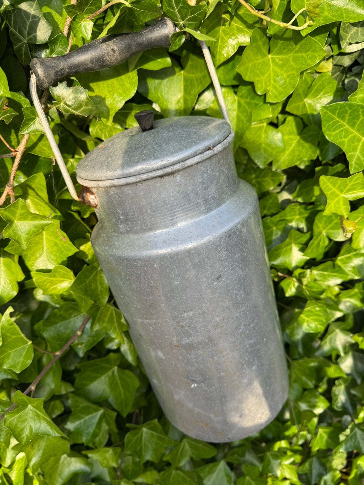 Vintage aluminium melkbus, Ophalen of Verzenden