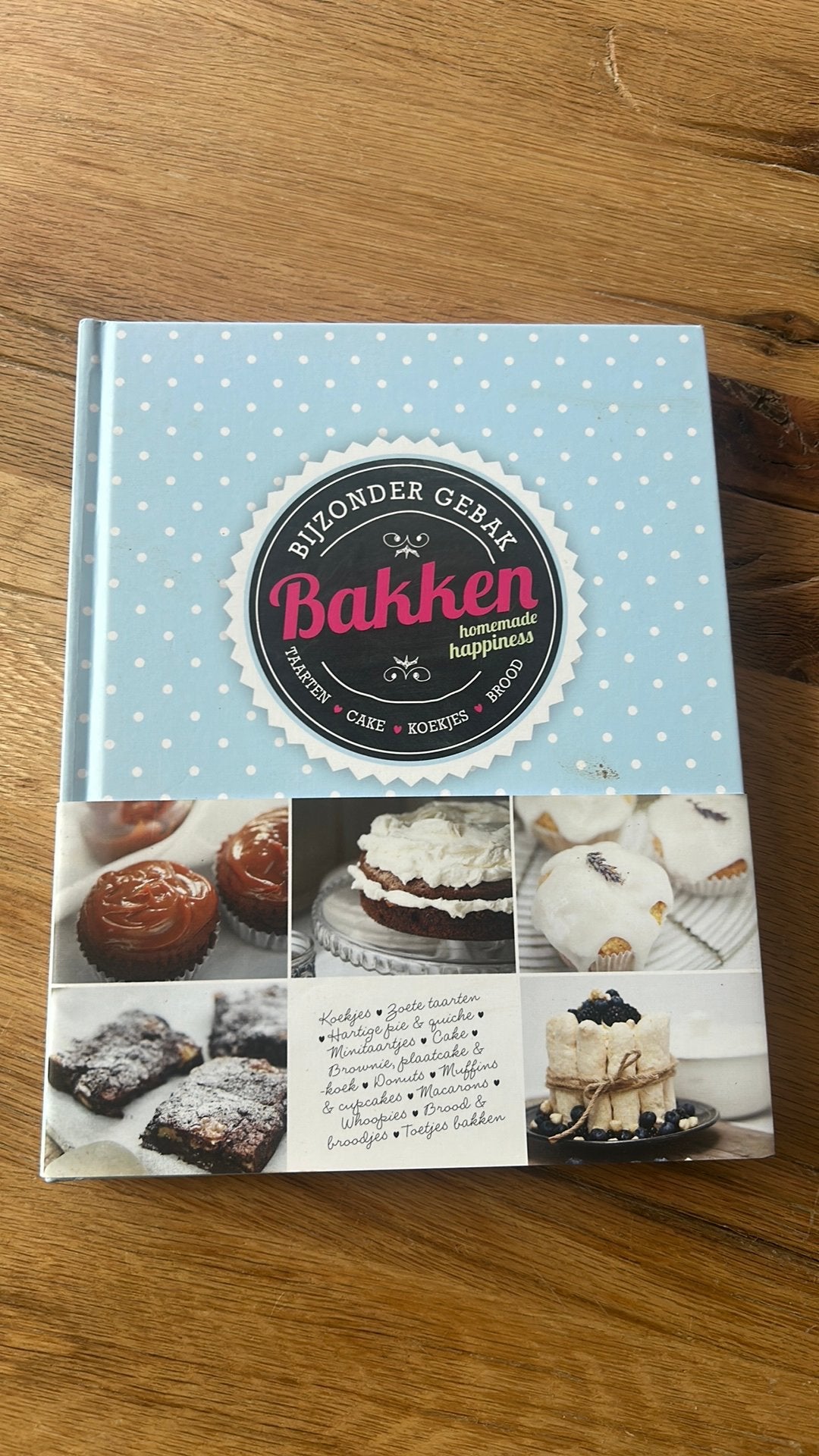 Floor van Dinteren - Bakken, Floor van Dinteren, Ophalen of Verzenden, Zo goed als nieuw