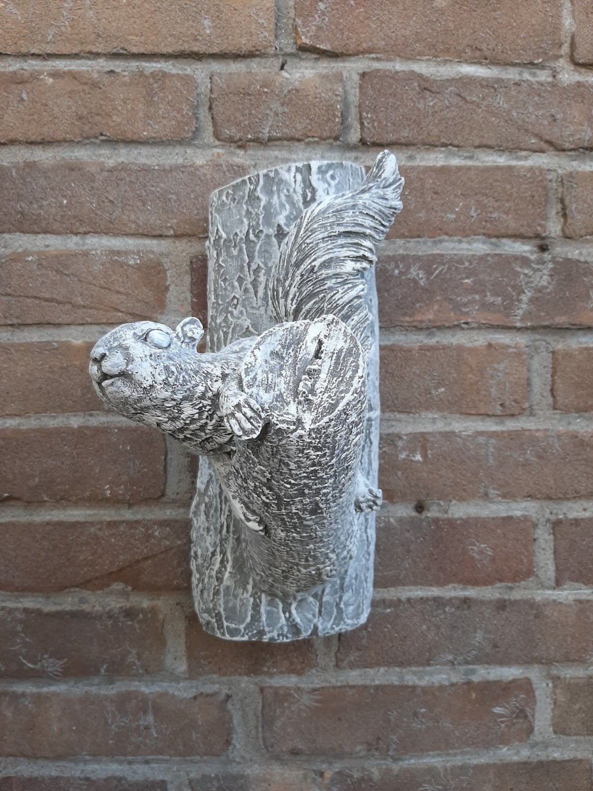 Eekhoorn wanddecoratie betonnen beeld tuinbeeld beton, Ophalen of Verzenden