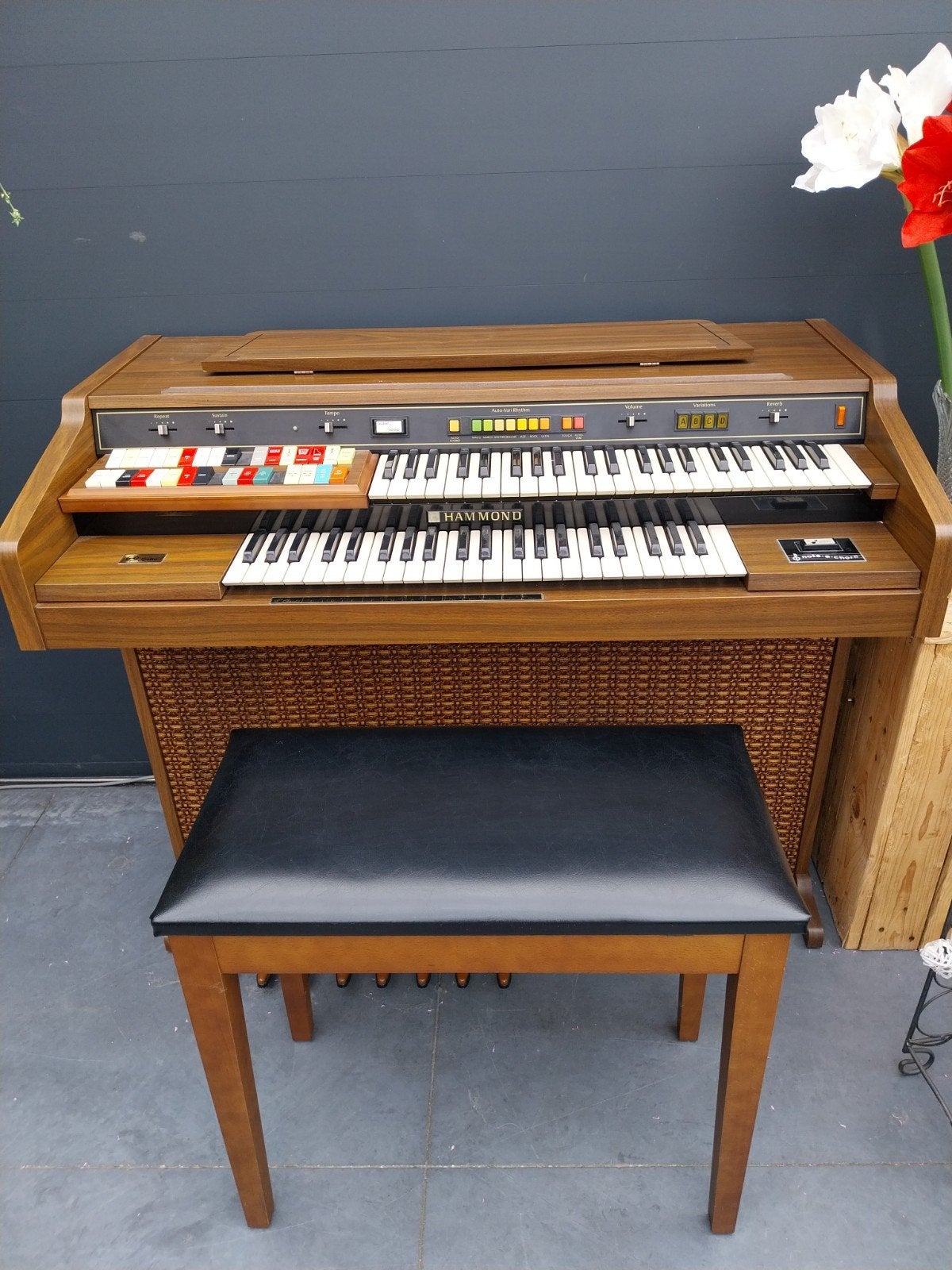 Orgel, Muziek en Instrumenten, Orgels, Ophalen, 2 klavieren, Orgel
