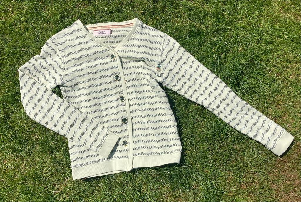 Vest | 4 Funky Flavours | maat 158/164, Gebruikt, Meisje, Trui of Vest, Ophalen of Verzenden