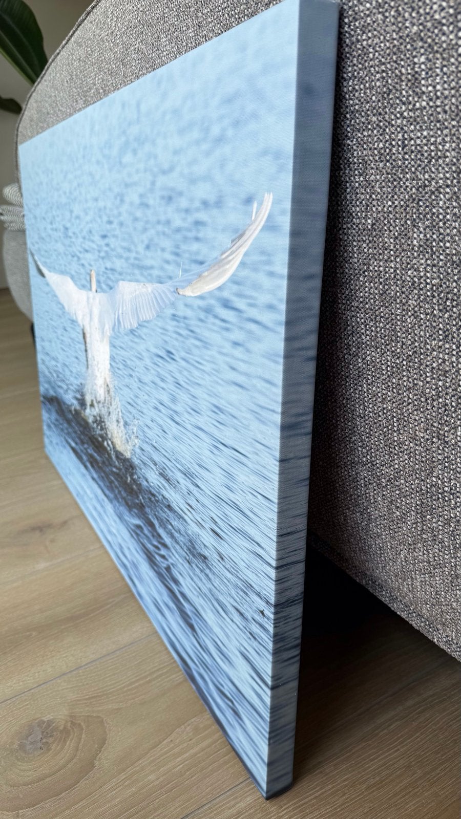 Canvas schilderij foto opstijgende zwaan op water - 90x60cm, Ophalen, 50 – 75, Oorspronkelijke maker, Zo goed als nieuw
