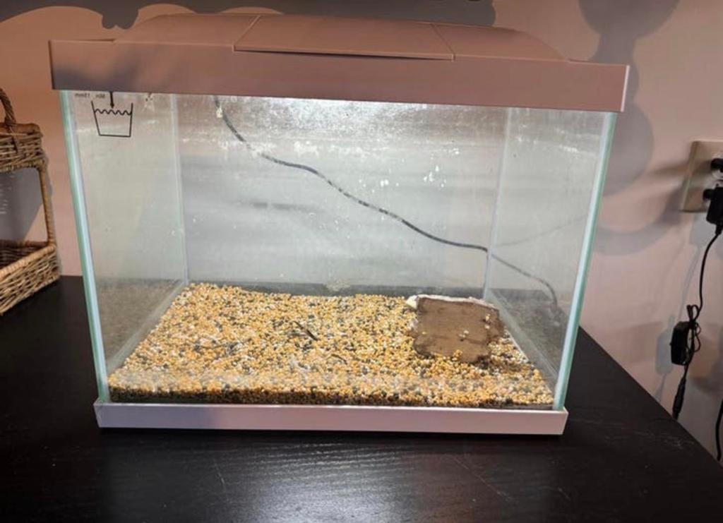 Superfish aquarium wit, Dieren en Toebehoren, Vissen | Aquaria en Toebehoren, Ophalen, Verlichting of Verwarming