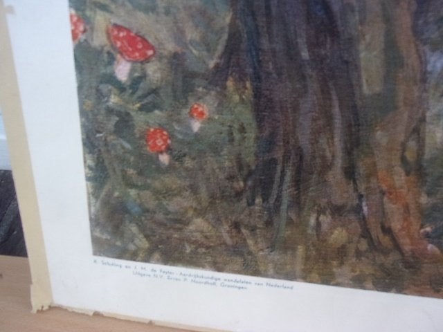 Schoolplaat Ven bij Oisterwijk ca. 1930 H.J. Wolter, Antiek en Kunst, Ophalen of Verzenden, Natuur en Biologie