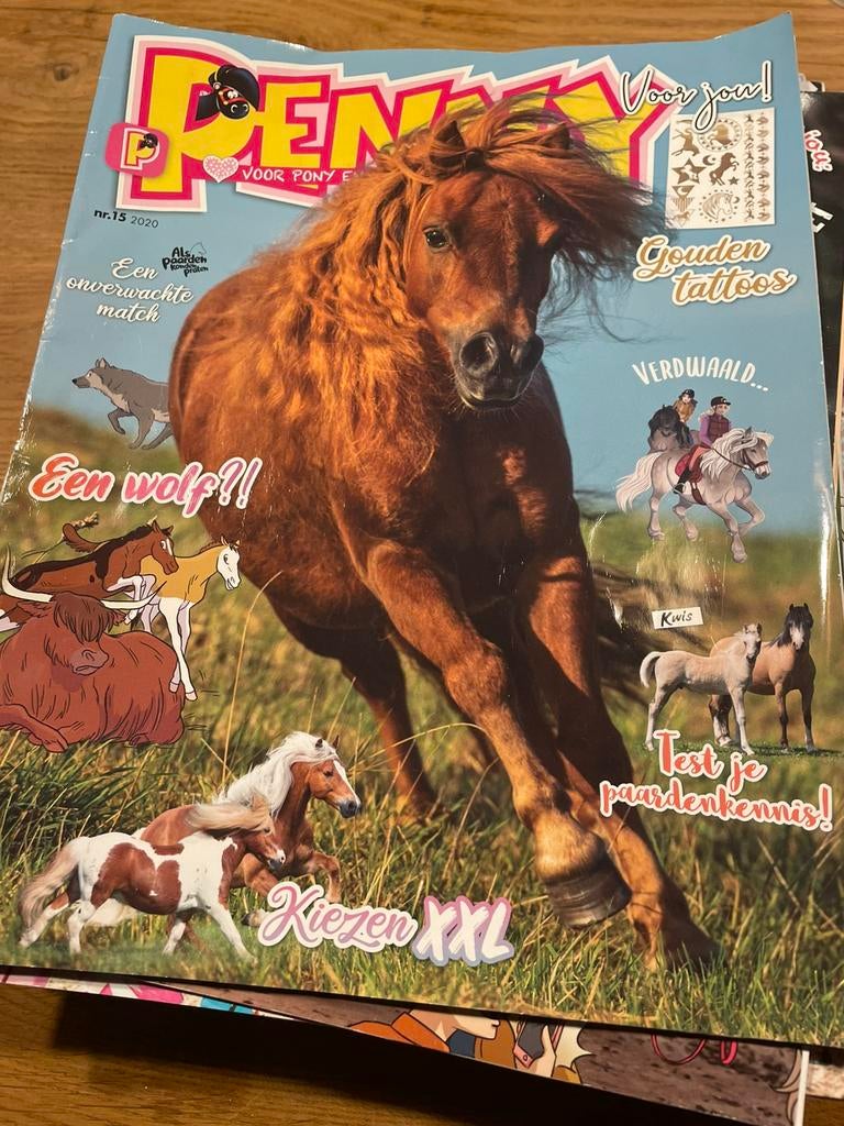 Penny paarden tijdschriften, Boeken, Ophalen of Verzenden, Gelezen, Overige typen