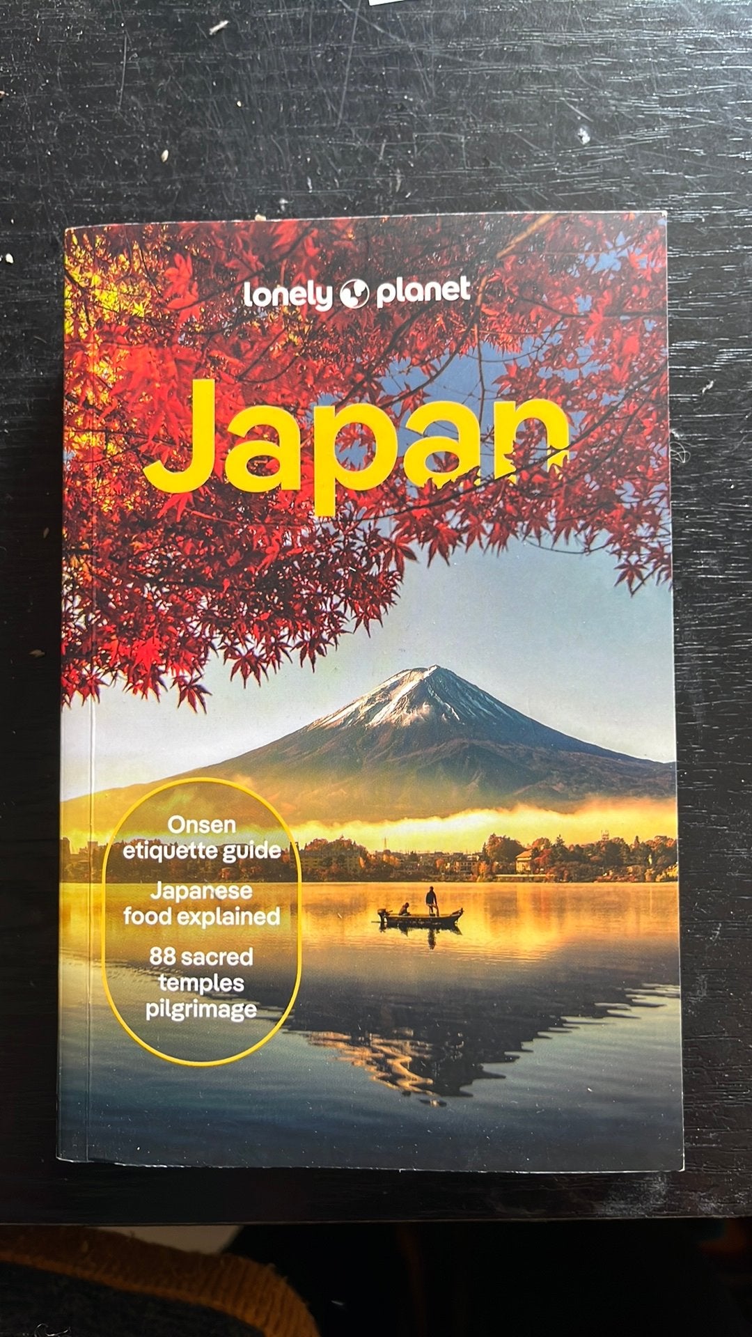 Lonely planet reisgids Japan, Lonely Planet, Nieuw, Ophalen of Verzenden, Reisgids of -boek