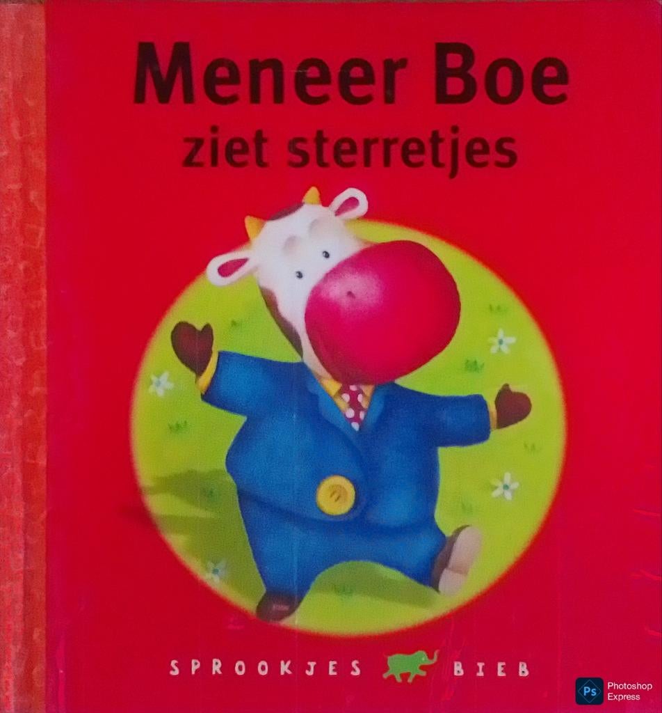 Meneer Boe Ziet Sterretjes, Boeken, Gelezen, 3 tot 4 jaar, Ophalen of Verzenden, Margaret Wild.