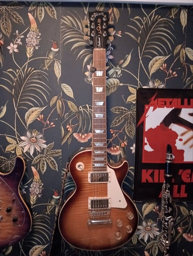 Gibson Les Paul - PRS Starla S2, Muziek en Instrumenten, Snaarinstrumenten | Gitaren | Elektrisch, Ophalen, Zo goed als nieuw