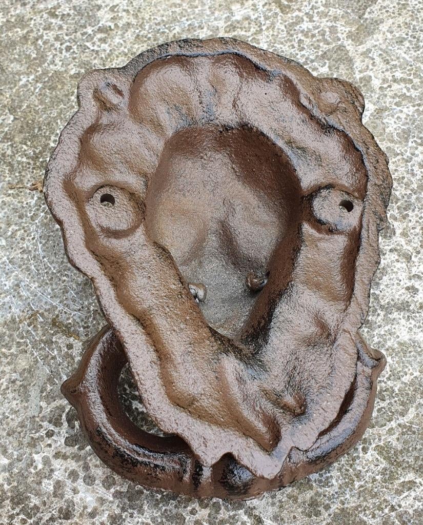 DEURKLOPPER LEEUW / gietijzer, Huis en tuin decoratie Marie, Nieuw, Info@huisentuindecoratiemarie.nl, Peize