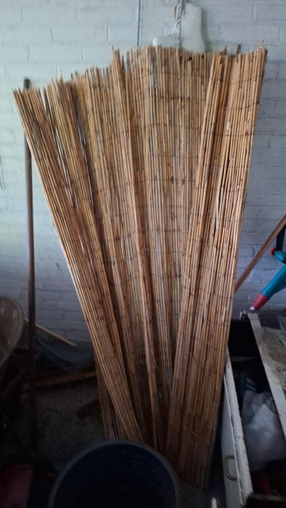 riet, Tuin en Terras, Tuinschermen, Ophalen, Overige materialen, Gebruikt, 200 cm of meer
