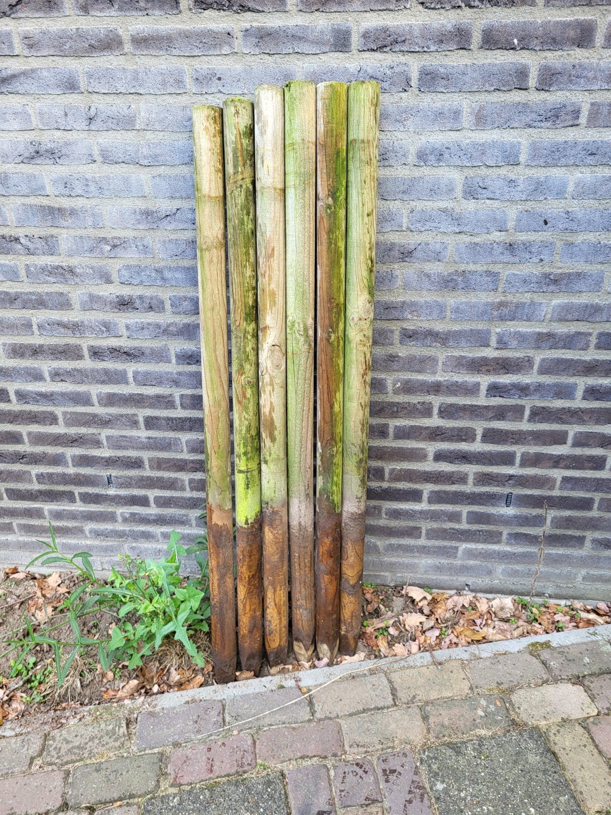Houten palen voor tuin of afrastering, Tuin en Terras, Ophalen, Gebruikt, Minder dan 180 cm, Palen