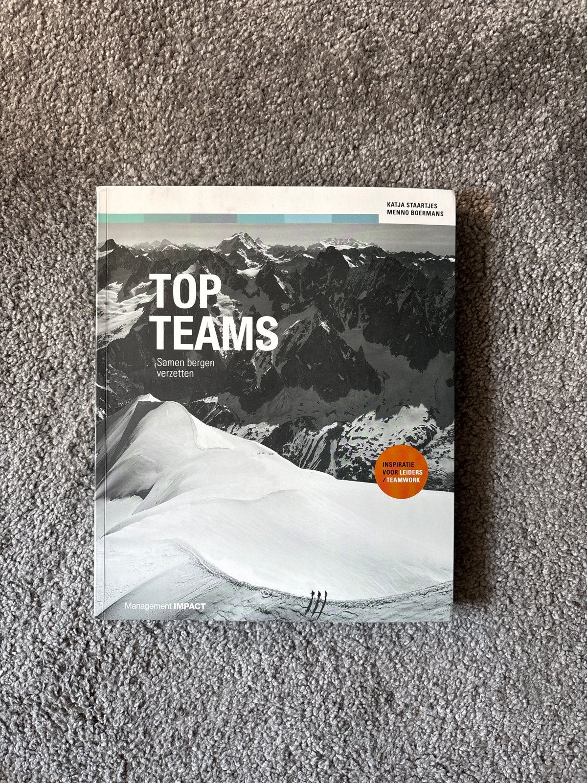 Top Teams: Samen bergen verzetten - Katja Staartjes, Boeken, Ophalen of Verzenden, Zo goed als nieuw, Management