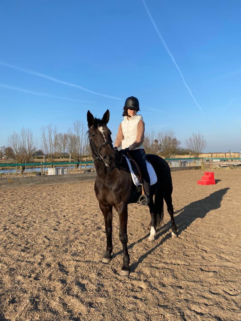Paard gezocht voor bruikleen/op verplaatsing, Ophalen of Verzenden, Zo goed als nieuw